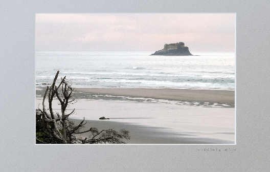 Castle Rock from Hug Point with pink dawn sky